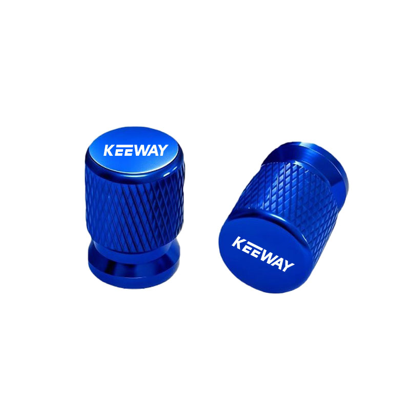 2PCS 오토바이 알루미늄 합금 타이어 휠 부품 밸브  - Motorcycle Valve Cover 리뷰 및 가격